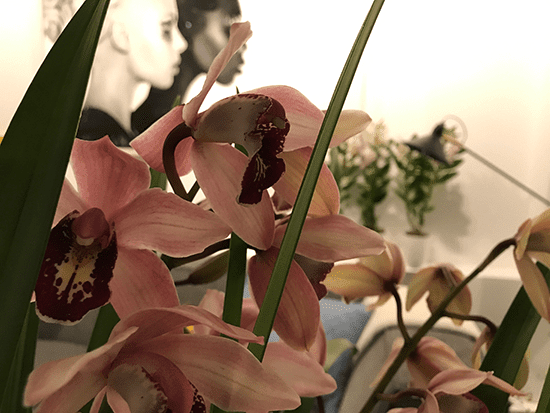 1-Wonenonline-blog-Style-jouw-interieur-met-een-orchidee-door-Styling-ID.png