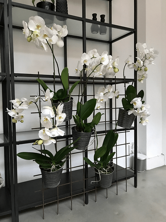 7-Wonenonline-blog-Style-jouw-interieur-met-een-orchidee-door-Styling-ID.png