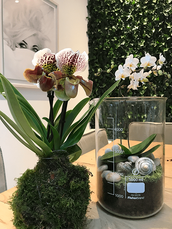 8-Wonenonline-blog-Style-jouw-interieur-met-een-orchidee-door-Styling-ID.png
