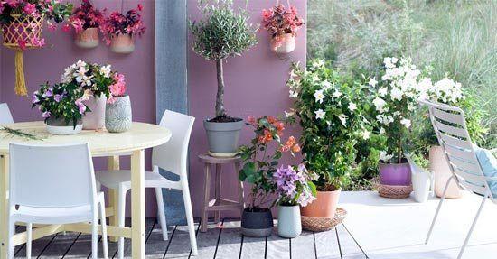 Tuin