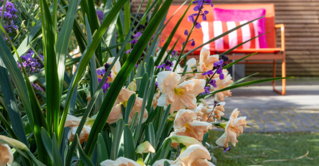 tuintrend-bold-blooms-002.png