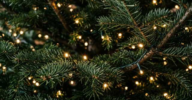 volgorde-kerstboom-versieren-6