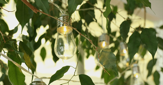 Edison lampjes lichtslinger