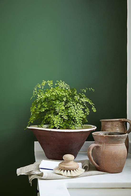 Little_Greene_STONE_-_6_-_Dark_Brunswick_Green_88.jpg