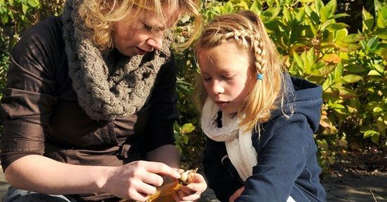 Nu bloembollen planten straks lentegeluk