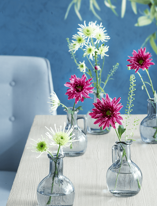 bloementrends-chrysanten-011.png