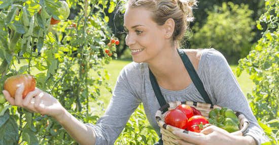 Dageraad College Gladys Cursus moestuin tuinieren - Wonenonline.nl