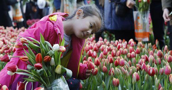 Nationale tulpendag 2018