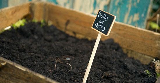 Slow gardening