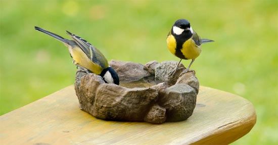 Onmisbaar voor vogels