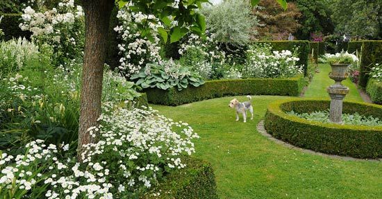 Winterharde planten