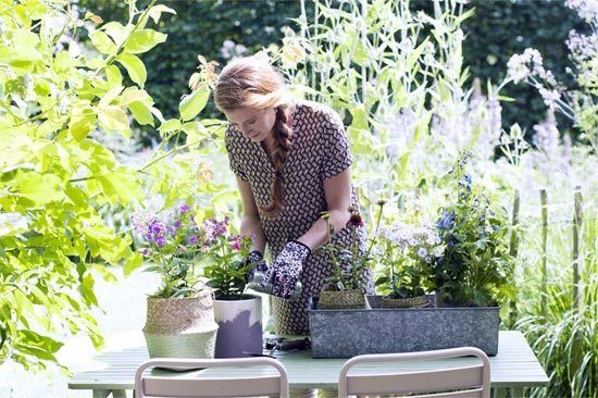 zomerboeket-uit-eigen-tuin-02.jpg