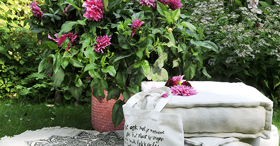 Bloemenbubbel met zomerbollen