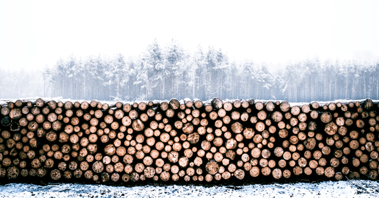 Creëer de ideale opslagplek voor je haardhout