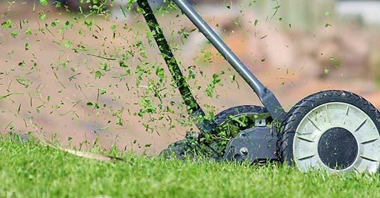 Essentiële voorbereidingen om de tuin lenteklaar te maken