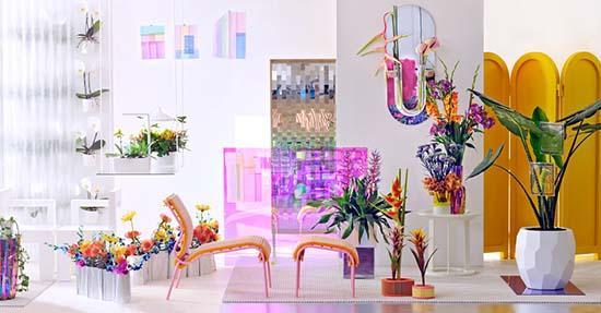 Indoor bloemen en plantentrends 2019: New Frontiers