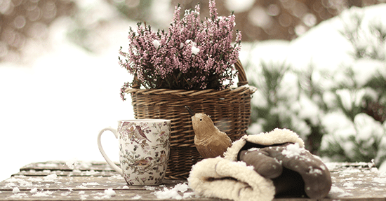 Is jouw tuin al goed voorbereid op de winter?