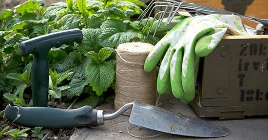 Tijd voor een nieuwe tuin! Hoe pak je dat aan?