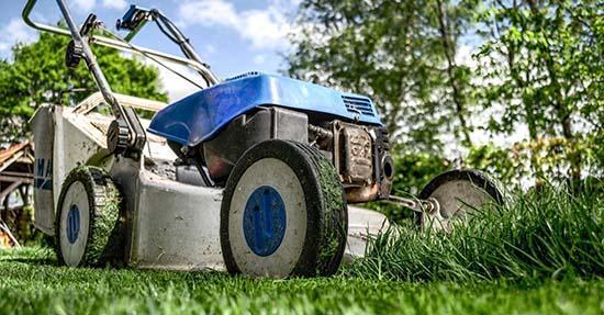 Het voorjaar is het perfecte moment om aan je tuin te werken. Het wordt lekker weer, dus je kunt ook nog eens genieten van de buitenlucht. Er zijn een hoop verschillende dingen die je kunt doen. Het is daarom belangrijk om gestructureerd te werk te gaan. Wij hebben een aantal dingen die je kunt doen alvast op een rijtje gezet.