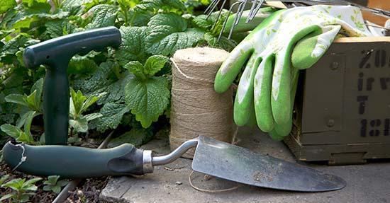 4 tips om je tuin zomerklaar te maken