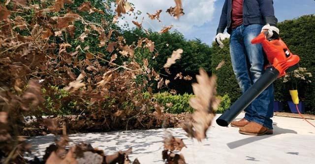 Tuin op orde zonder gelazer, koop een bladblazer