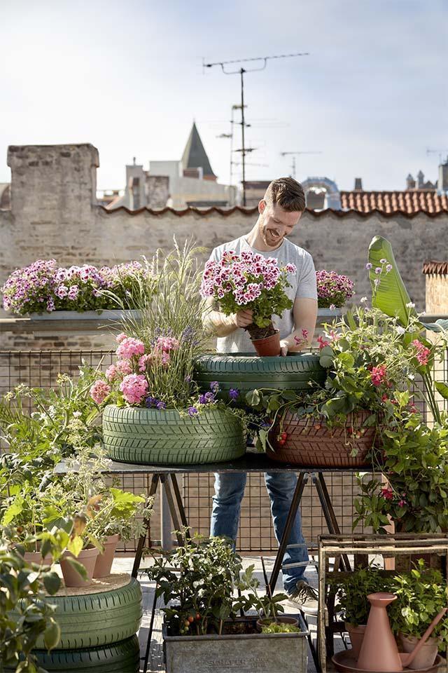 geraniums-autobanden-1.jpg