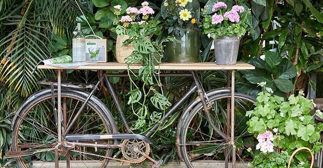 Trend: upcycling in de tuin. Duurzame ideeën voor geranium.