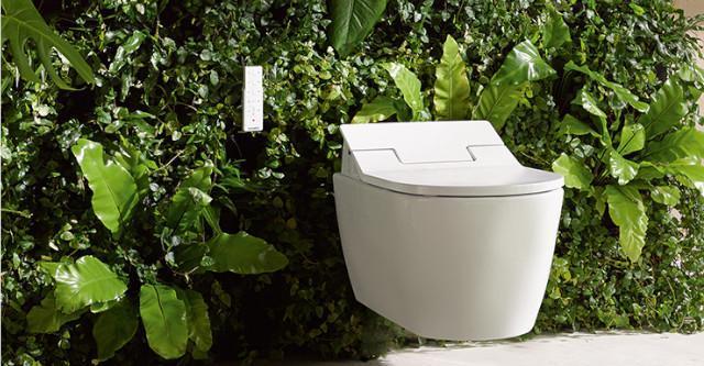 Planten in de badkamer: Creëer een groene oase van welzijn