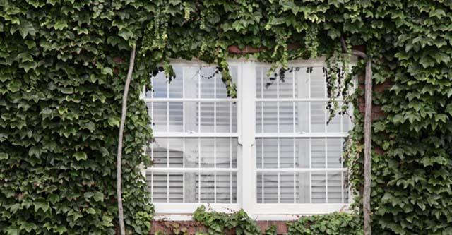 De beste raamdecoratie voor meer privacy