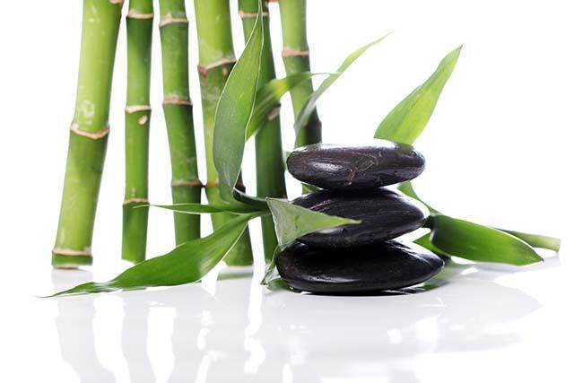 spa-stones-bamboo-leaves_kopiëren.jpg