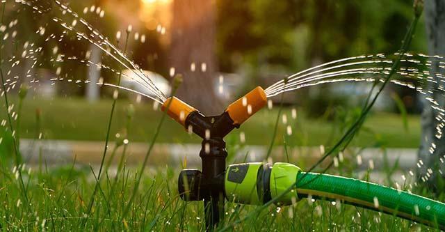 Laat je tuin niet droogstaan, investeer in tuinbewatering