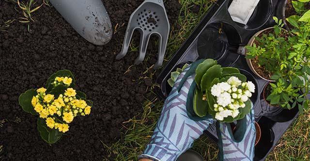 Hoe verander je je tuin in een moderne rustplek?