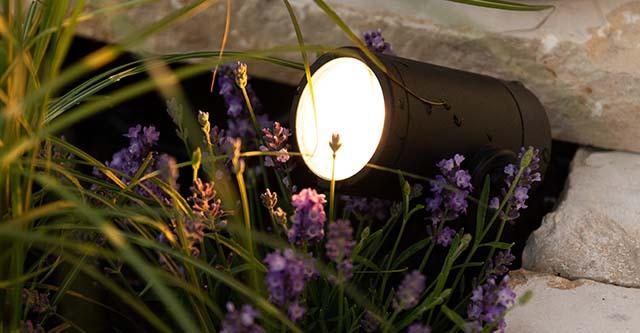 Zet je tuin in de spotlights!