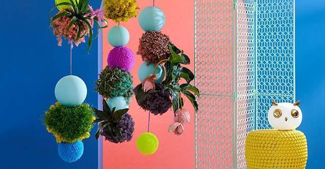 Planten en bloementrends 2021:  Crazy Illusions