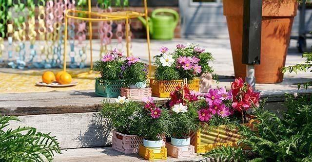 Planten en bloementrends 2022: BRIGHT & BREEZY