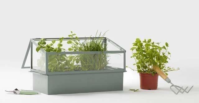 Klaar voor de lente met het tuin- en balkonassortiment van HEMA