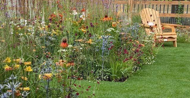 Tuintrends 2022 - De klimaatbestendige tuin