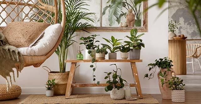 Interieur inspiratie: De Botanische woonstijl