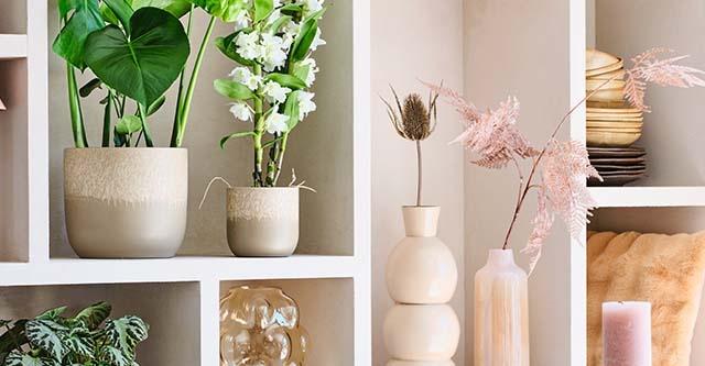 Zin in het najaar met de INTRATUIN interieur en planten collecties! 