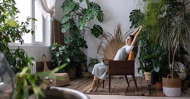 De magie van kamerplanten: een groene oase in je huis
