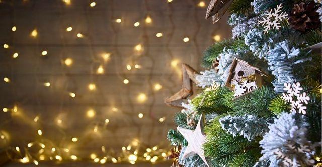 De perfecte kerstboom in je tuin: tips en trends voor 2023 