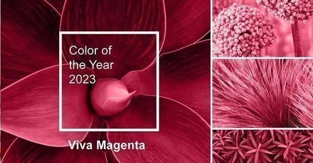 De Pantone-kleur van het jaar 2023 is Viva Magenta