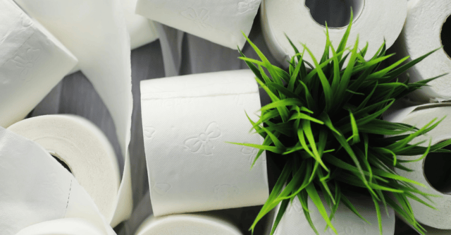 Duurzaam toiletpapier: een groene revolutie in je toilet