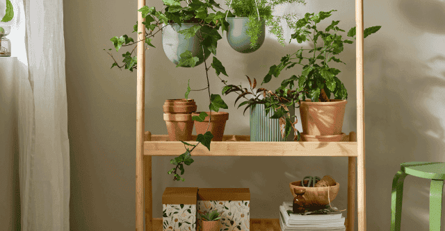 Limited IKEA collectie voor echte plantenliefhebbers