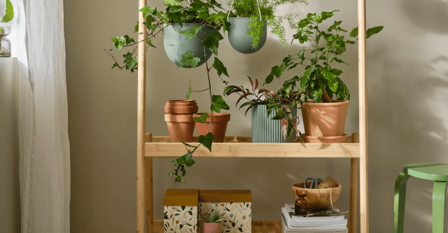 Limited IKEA collectie voor echte plantenliefhebbers
