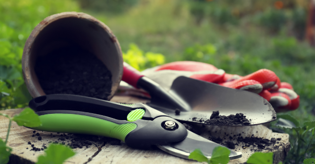 De top 5 fouten die beginnende tuiniers maken en hoe je deze kunt voorkomen. 