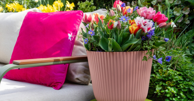 Tuintrend 2026 – Bold Blooms: kleur met karakter