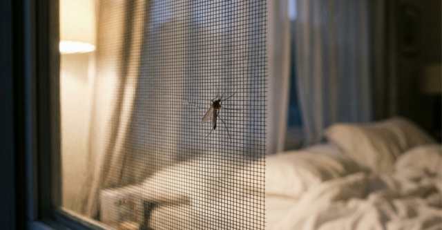 Muggen in huis? Alles wat je moet weten én doen (ook de hacks die écht werken)