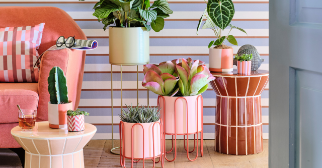 Intratuin voorjaarstrends 2026