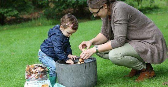 Bloembollen planten